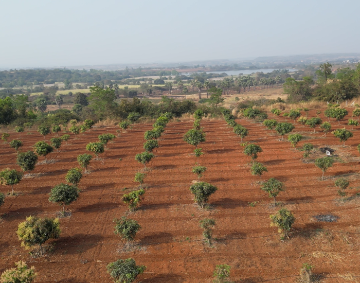 Vasudha Farms and Resort